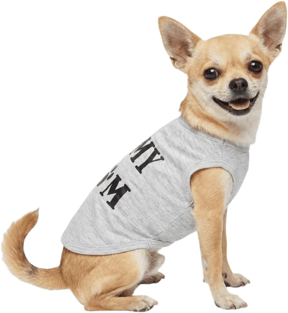 Dog Stuff