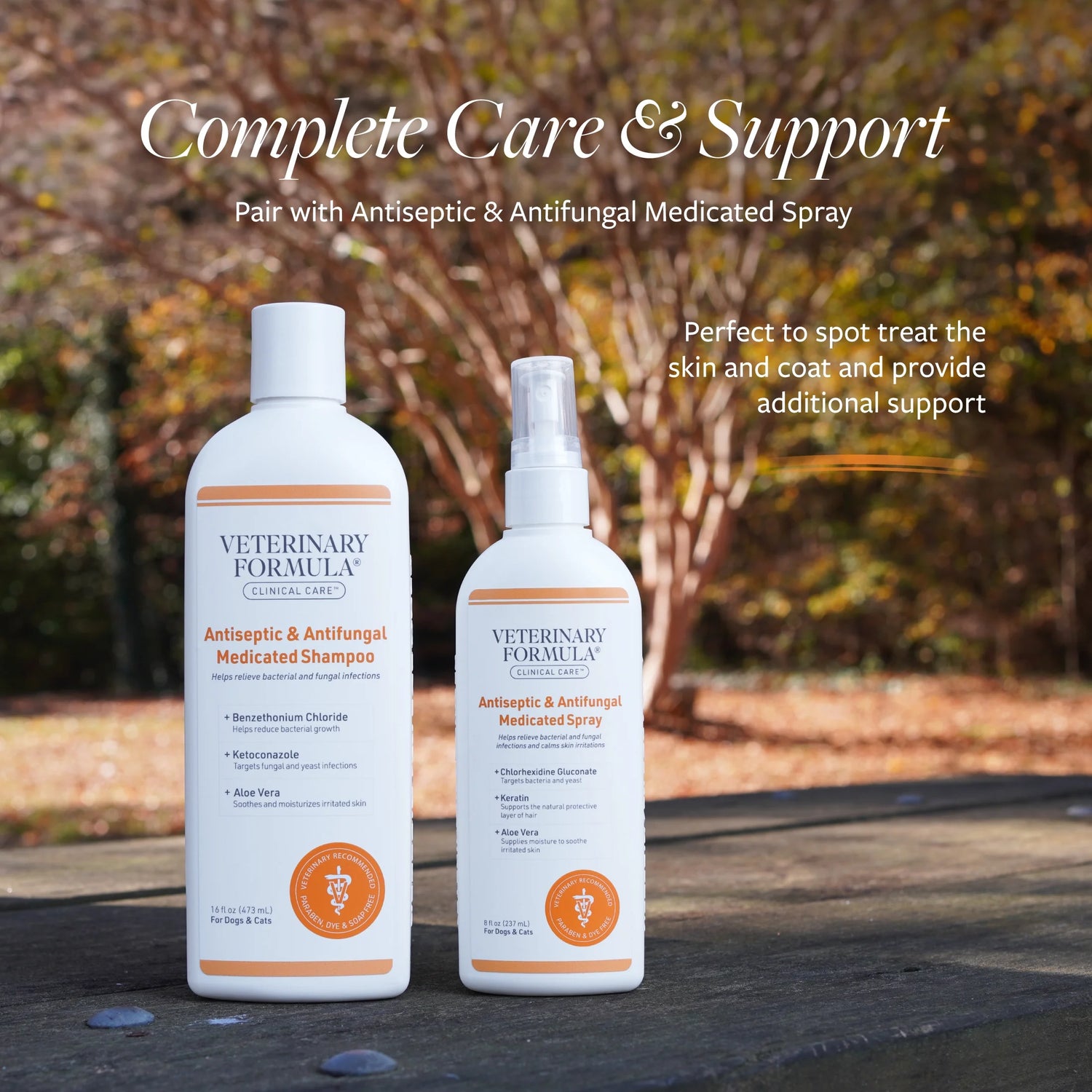Clinical Care Antiseptic and Antifungal Medicated Shampoo for Dogs & Cats, 16Oz