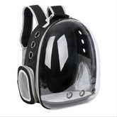 Portable Cat Pet Carrier Backpack Transparent Capsule Bubble Pet Backpack Small Animal Puppy Kitty Breathable Carrier for Travel