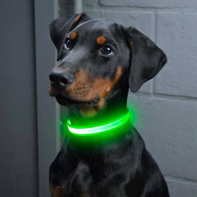 LED Dog Collar, Light up Dog Collar Adjustable USB Rechargeable Super Bright Safety Light Glowing Collars for Dogs(Small,Red)